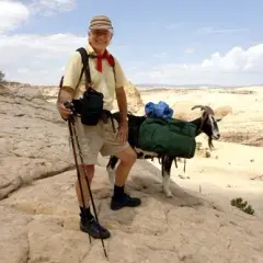Capre di montagna: razze, formaggi e goat trekking in Italia