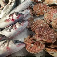 Da Felice Rialto: scopri i segreti del pesce fresco e cicchetti