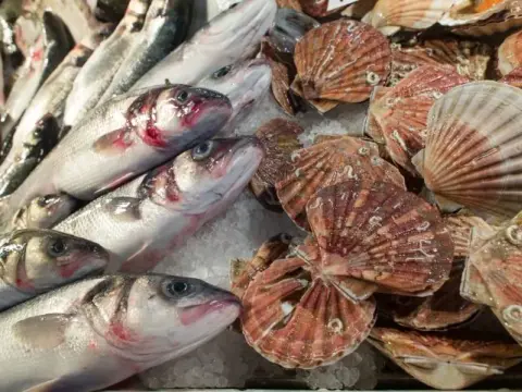 Da Felice Rialto: scopri i segreti del pesce fresco e cicchetti