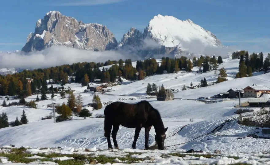 Neve in Montagna - Dove trovarla e cosa fare in Italia?