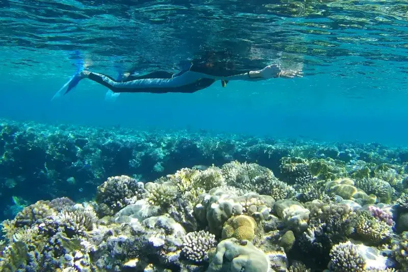 Zdjęcie Mar Rosso: Sharm, Marsa Alam, Hurghada? Trova la tua meta ideale